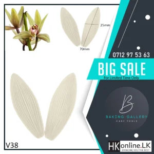 Cymbidium Orchids Flower Veiner V38 (High Quality)