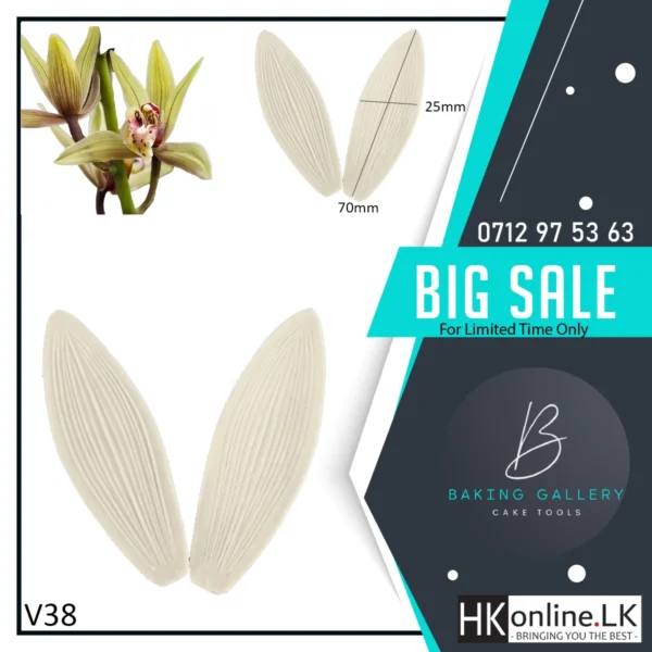 Cymbidium Orchids Flower Veiner V38 (High Quality)