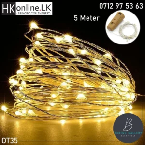 Fairy Lights 5 Meter (Silver Wire)
